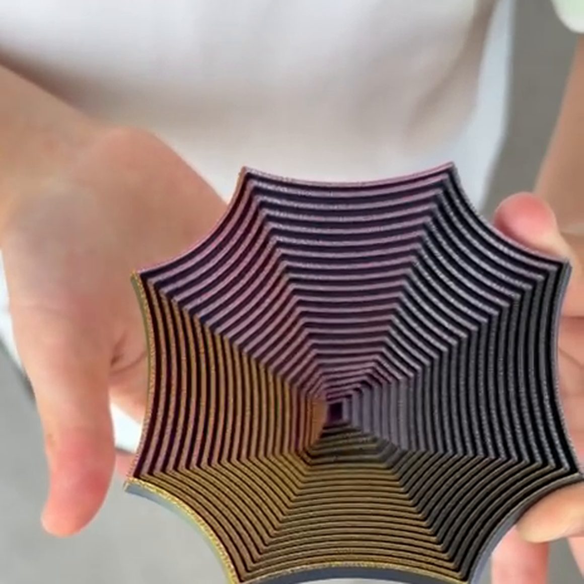 A Focus Spiral held open flat across two hands, about as wide as a palm